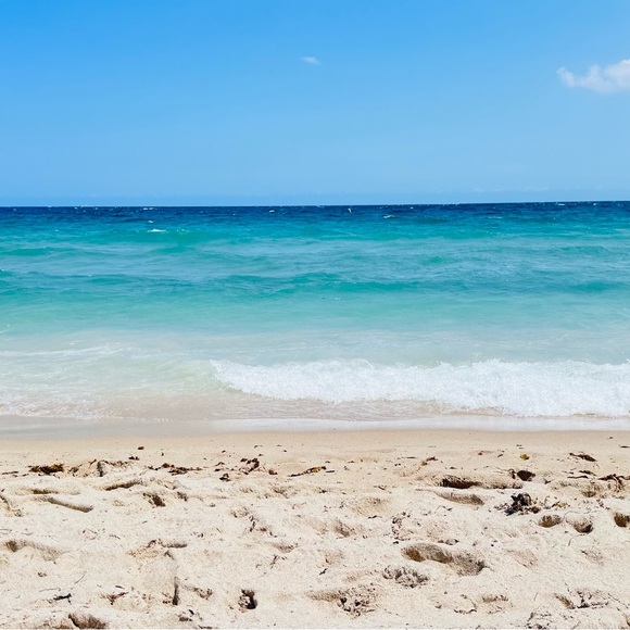 … - Picture 12 of 16